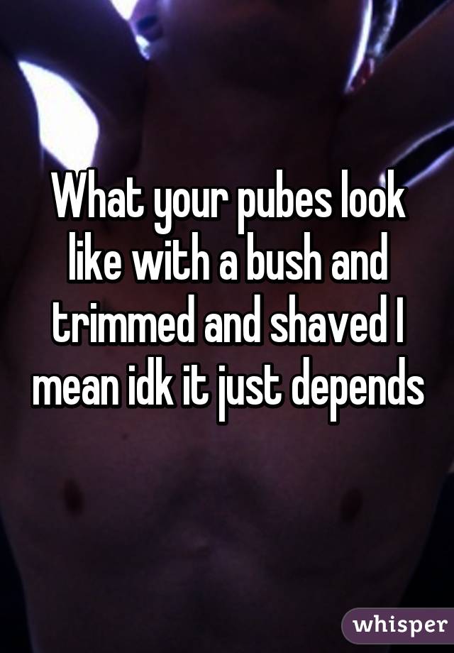 What your pubes look like with a bush and trimmed and shaved I mean idk it just depends 