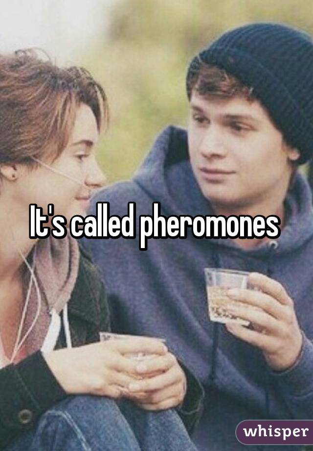 It's called pheromones 