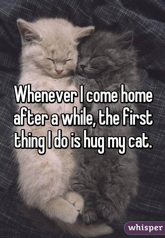 Whenever I come home after a while, the first thing I do is hug my cat.