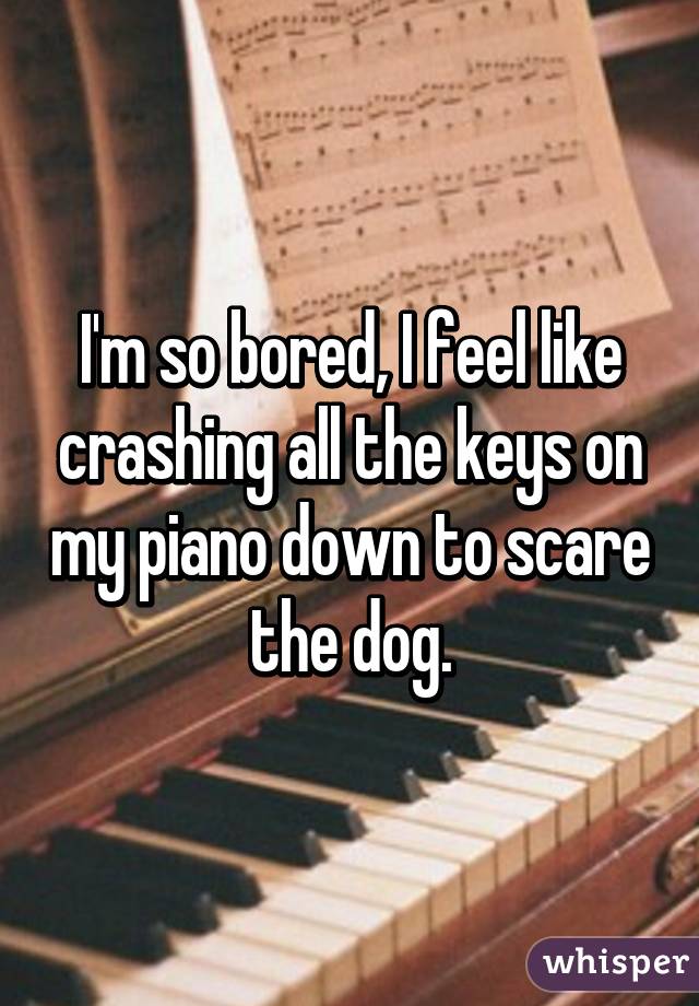 I'm so bored, I feel like crashing all the keys on my piano down to scare the dog.