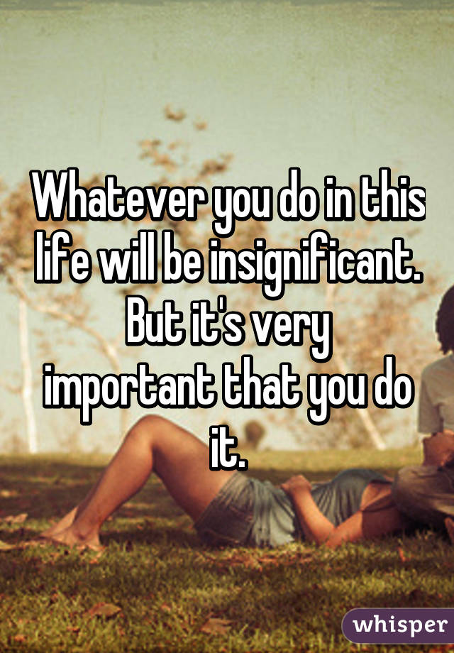 Whatever you do in this life will be insignificant.
But it's very important that you do it.