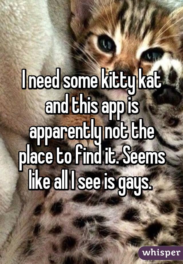 I need some kitty kat and this app is apparently not the place to find it. Seems like all I see is gays. 