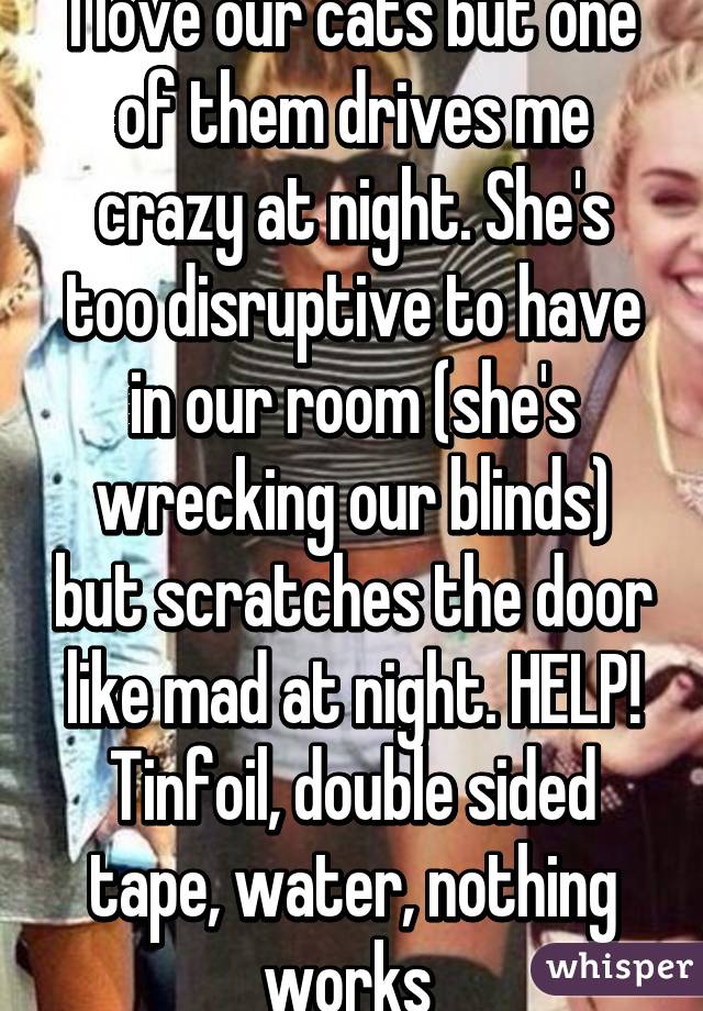 I love our cats but one of them drives me crazy at night. She's too disruptive to have in our room (she's wrecking our blinds) but scratches the door like mad at night. HELP! Tinfoil, double sided tape, water, nothing works 