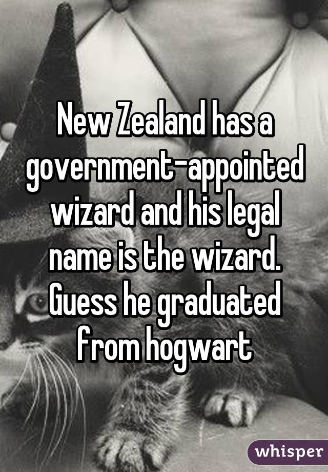 New Zealand has a government-appointed wizard and his legal name is the wizard.
Guess he graduated from hogwart