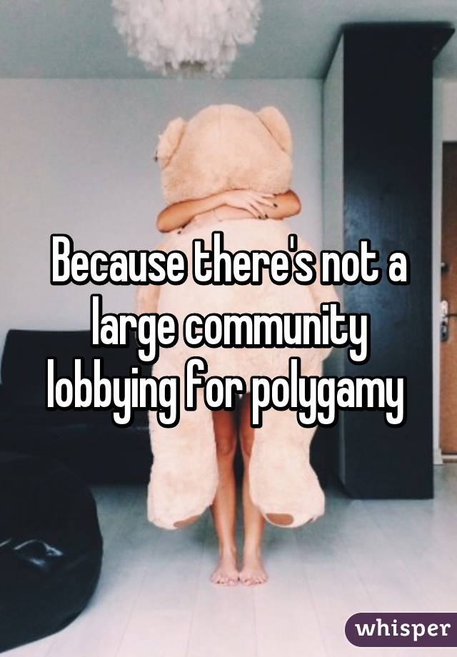 Because there's not a large community lobbying for polygamy 