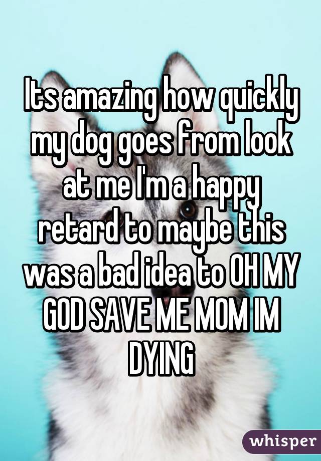 Its amazing how quickly my dog goes from look at me I'm a happy retard to maybe this was a bad idea to OH MY GOD SAVE ME MOM IM DYING