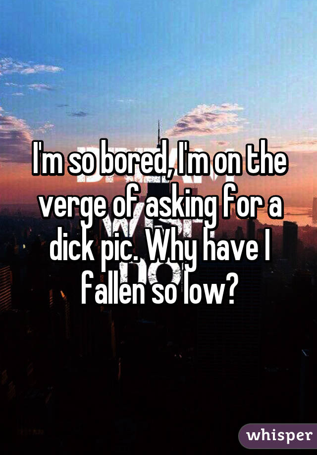 I'm so bored, I'm on the verge of asking for a dick pic. Why have I fallen so low?