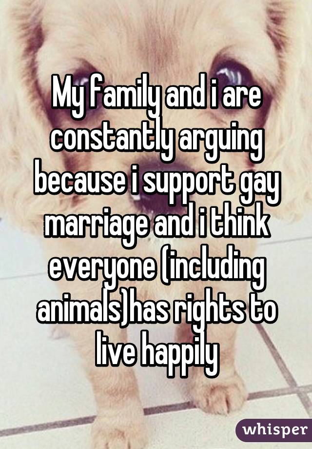 My family and i are constantly arguing because i support gay marriage and i think everyone (including animals)has rights to live happily