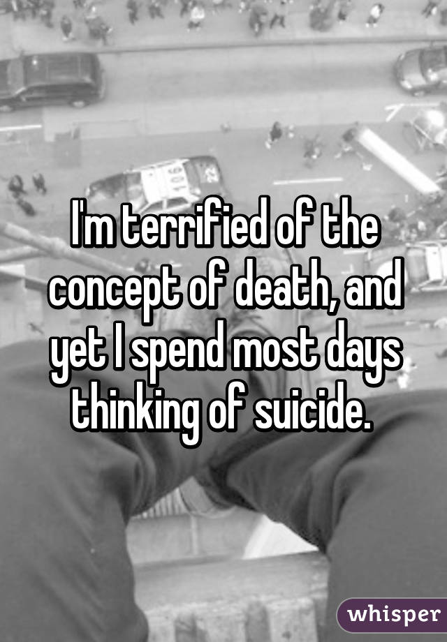 I'm terrified of the concept of death, and yet I spend most days thinking of suicide. 