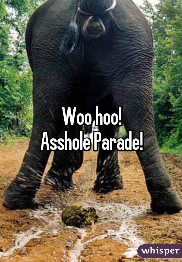 Woo hoo!
Asshole Parade!