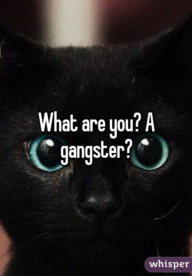 What are you? A gangster?