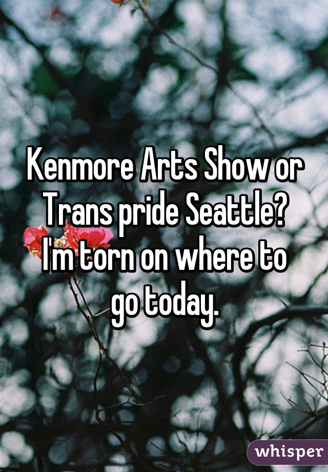 Kenmore Arts Show or Trans pride Seattle?
I'm torn on where to go today.