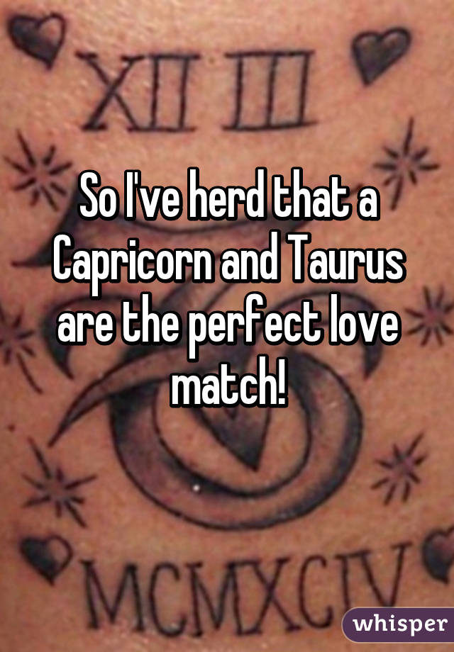 So I've herd that a Capricorn and Taurus are the perfect love match!
