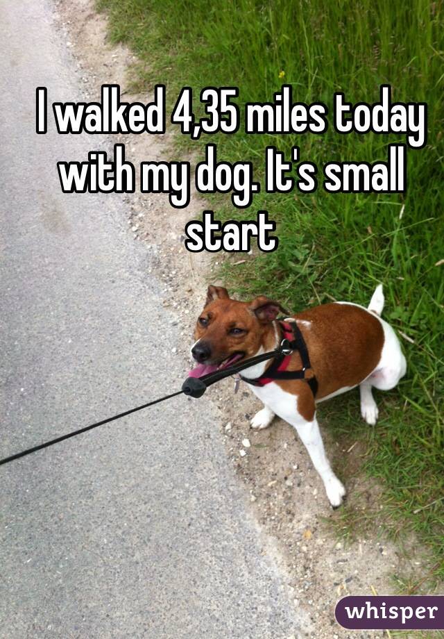 I walked 4,35 miles today with my dog. It's small start