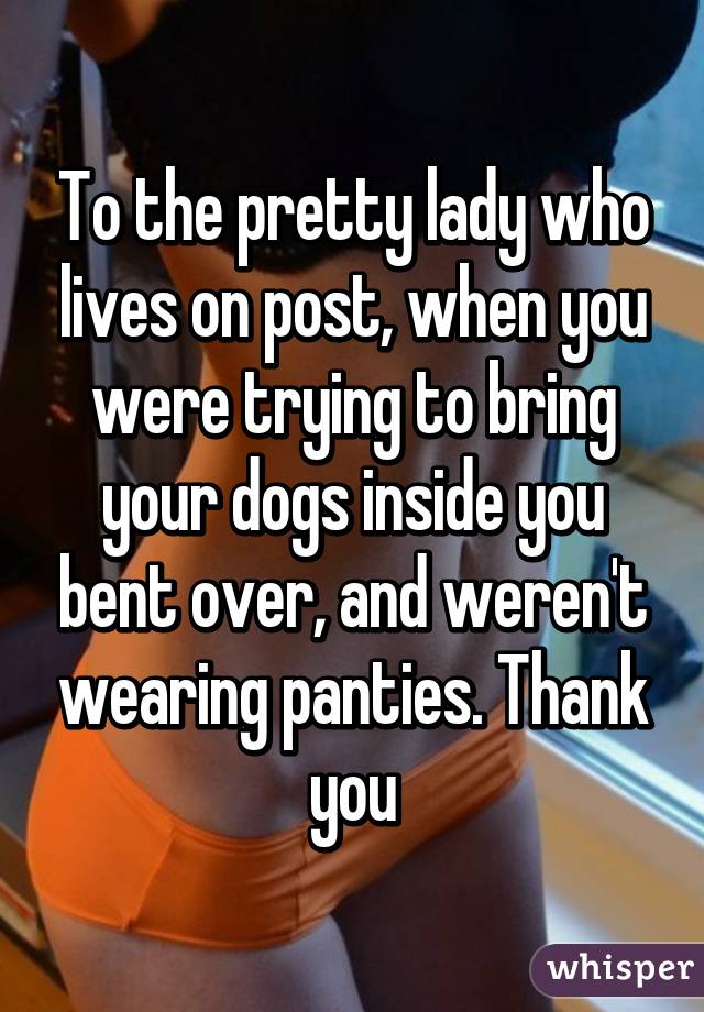 To the pretty lady who lives on post, when you were trying to bring your dogs inside you bent over, and weren't wearing panties. Thank you