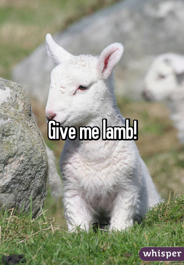 Give me lamb!