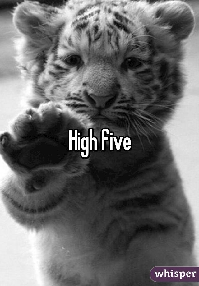 High five