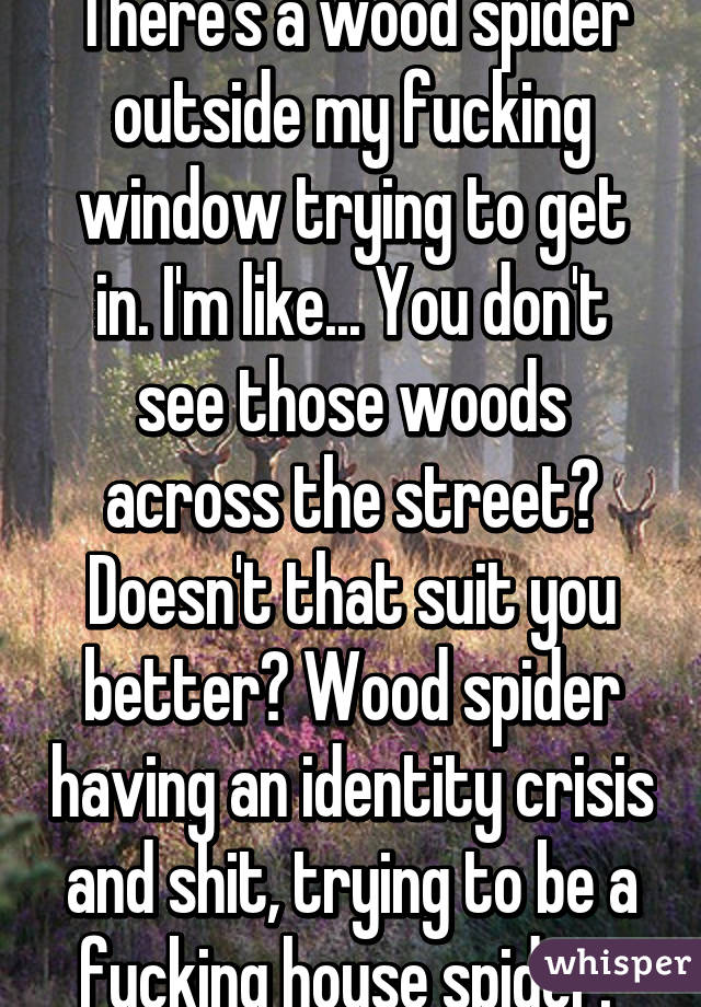 There's a wood spider outside my fucking window trying to get in. I'm like... You don't see those woods across the street? Doesn't that suit you better? Wood spider having an identity crisis and shit, trying to be a fucking house spider. 