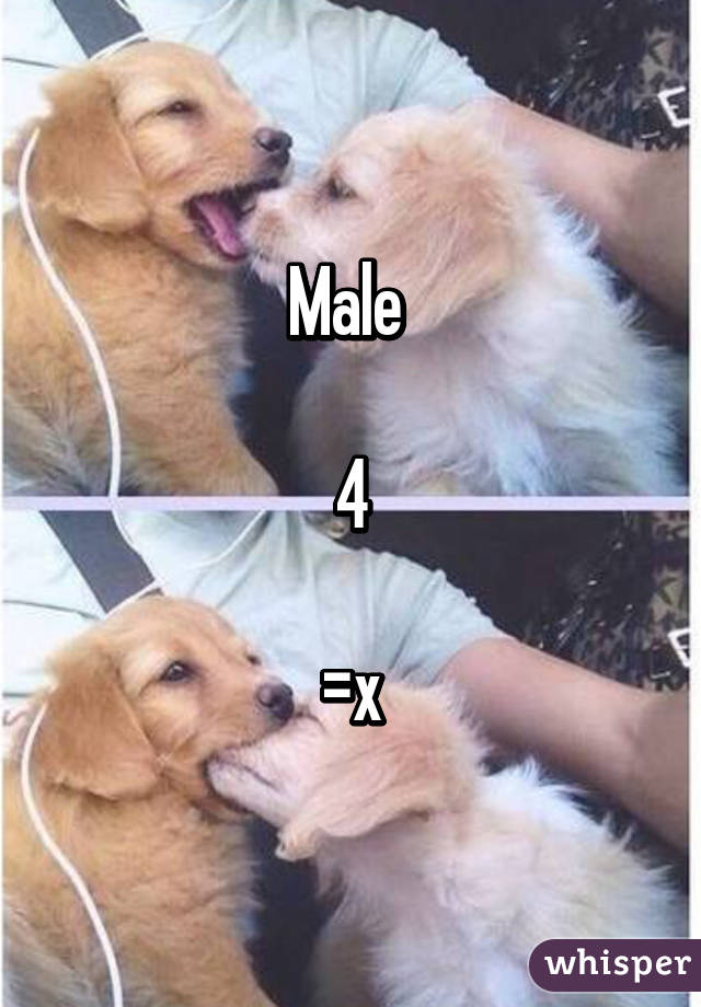 Male 

4

=x