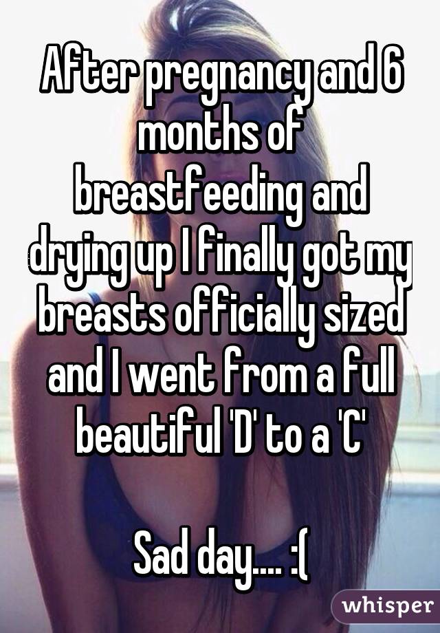 After pregnancy and 6 months of breastfeeding and drying up I finally got my breasts officially sized and I went from a full beautiful 'D' to a 'C'

Sad day.... :(