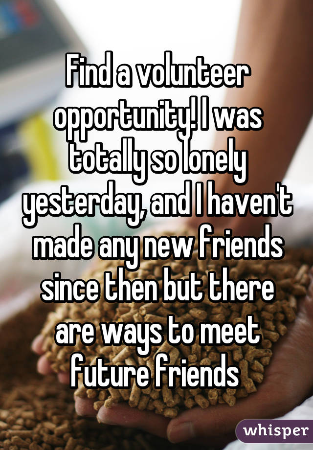 Find a volunteer opportunity! I was totally so lonely yesterday, and I haven't made any new friends since then but there are ways to meet future friends 