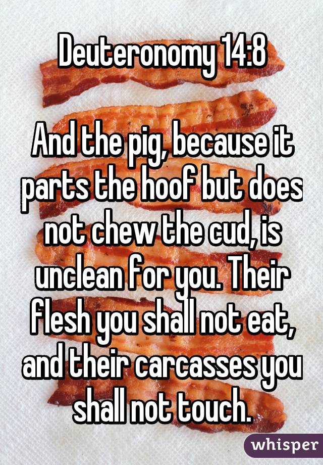  Deuteronomy 14:8 

And the pig, because it parts the hoof but does not chew the cud, is unclean for you. Their flesh you shall not eat, and their carcasses you shall not touch.