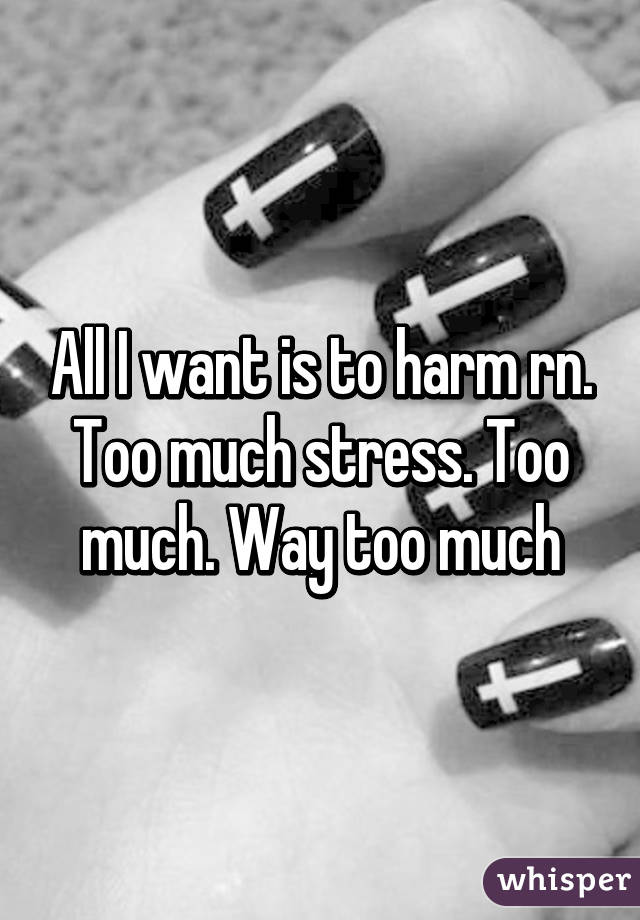 All I want is to harm rn. Too much stress. Too much. Way too much