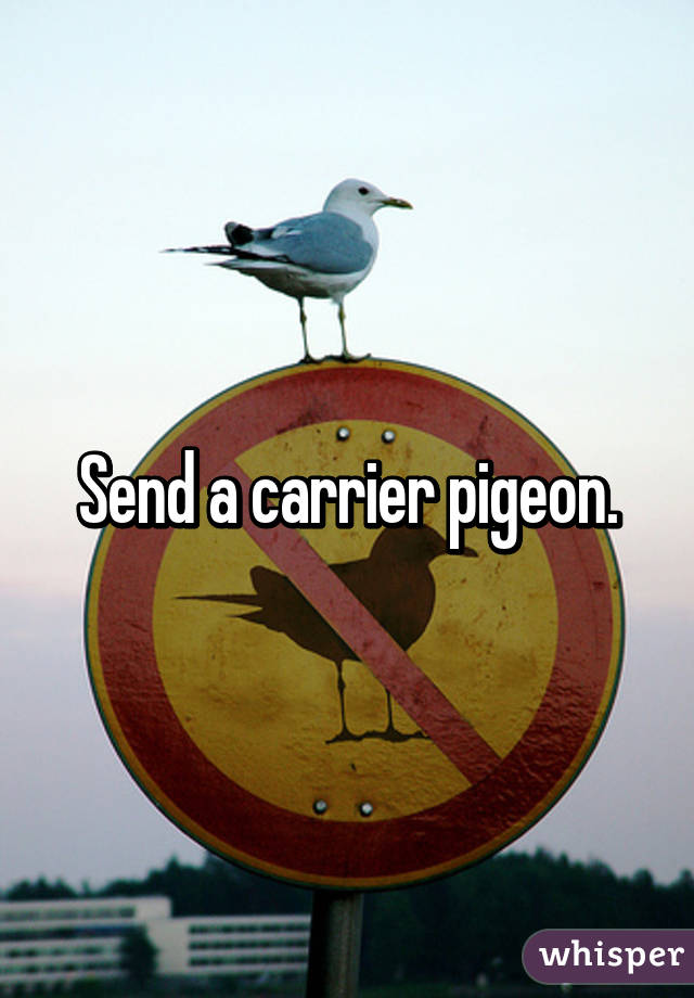 Send a carrier pigeon.