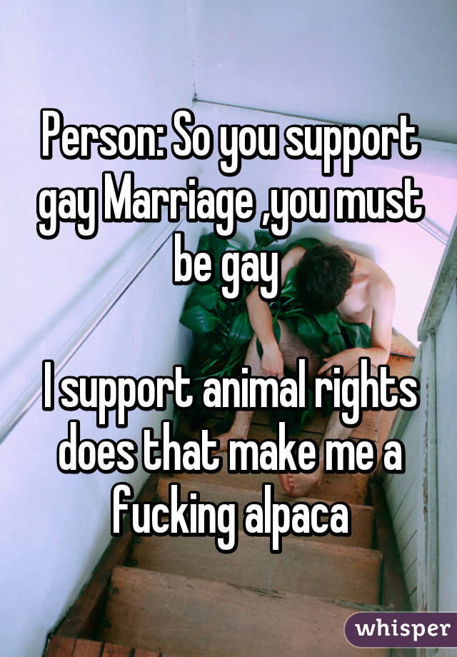 Person: So you support gay Marriage ,you must be gay 

I support animal rights does that make me a fucking alpaca