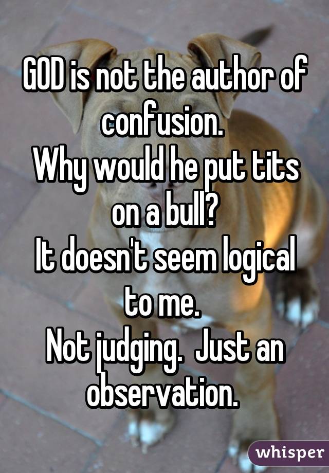 GOD is not the author of confusion. 
Why would he put tits on a bull?
It doesn't seem logical to me. 
Not judging.  Just an observation. 