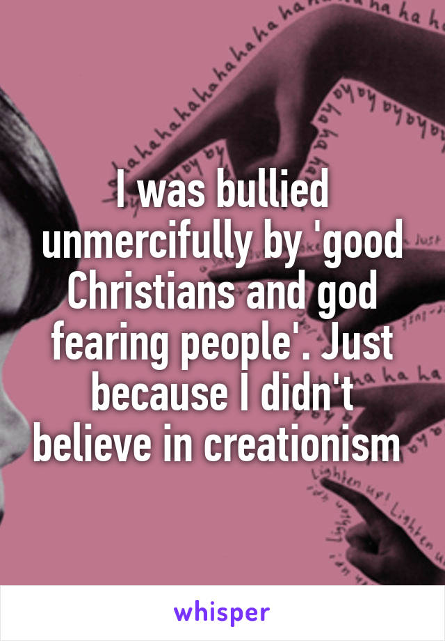 I was bullied unmercifully by 'good Christians and god fearing people'. Just because I didn't believe in creationism 