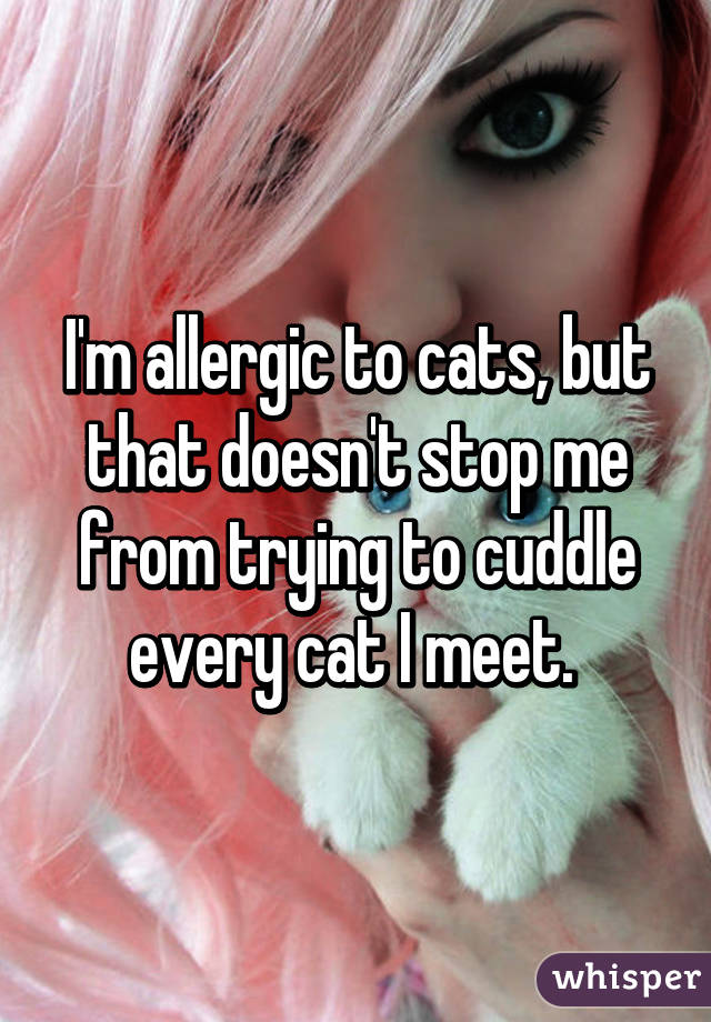 I'm allergic to cats, but that doesn't stop me from trying to cuddle every cat I meet. 