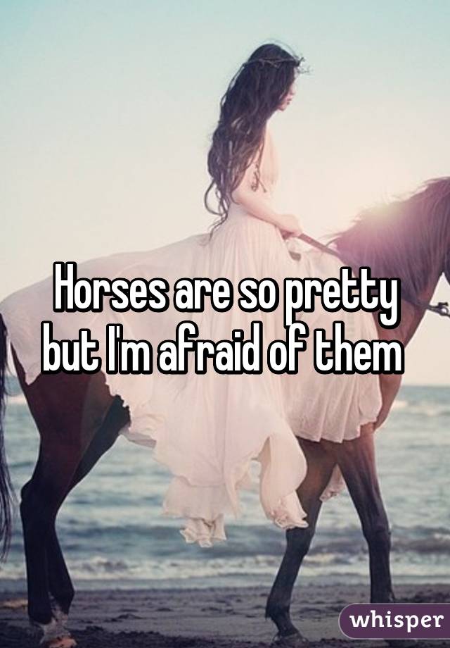 Horses are so pretty but I'm afraid of them 