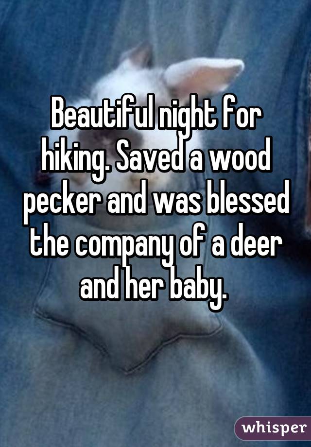 Beautiful night for hiking. Saved a wood pecker and was blessed the company of a deer and her baby. 
