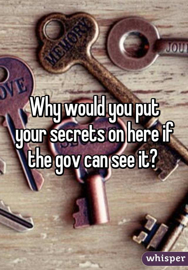 Why would you put your secrets on here if the gov can see it? 