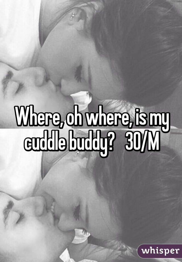 Where, oh where, is my cuddle buddy?   30/M