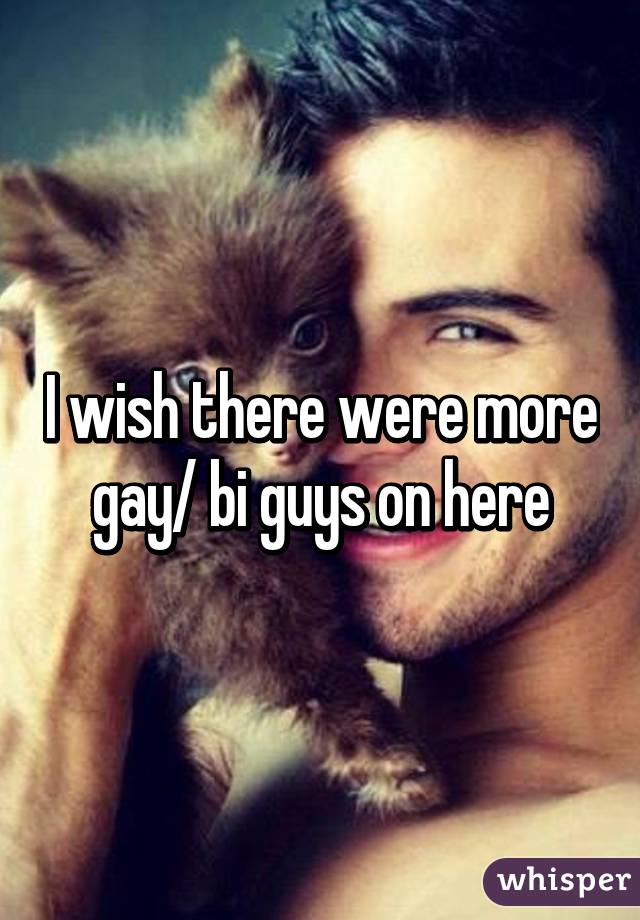 I wish there were more gay/ bi guys on here