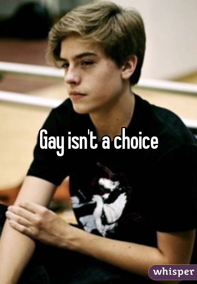 Gay isn't a choice