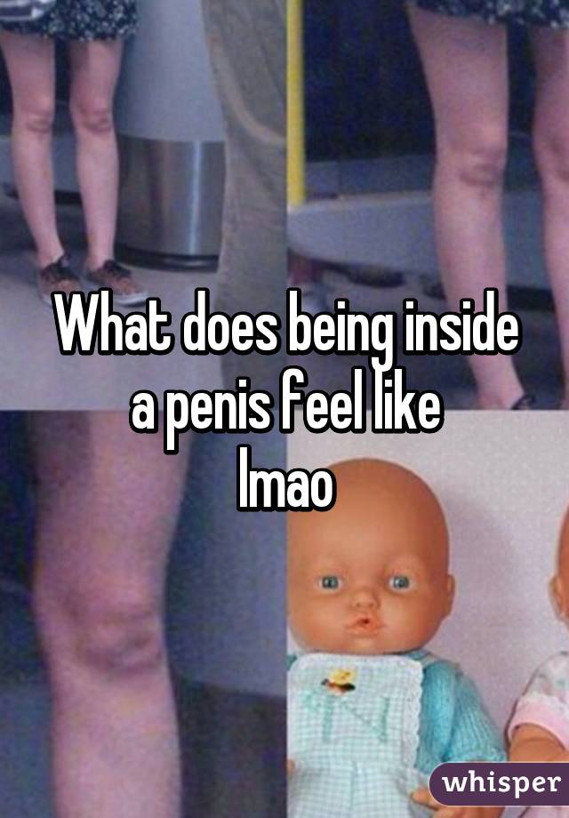 What does being inside a penis feel like
lmao