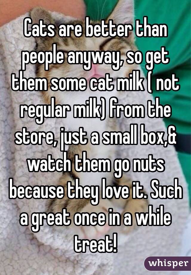 Cats are better than people anyway, so get them some cat milk ( not regular milk) from the store, just a small box,& watch them go nuts because they love it. Such a great once in a while treat!