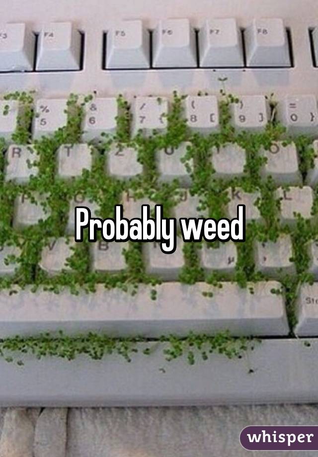 Probably weed