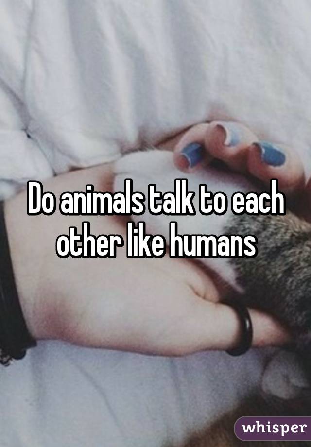 Do animals talk to each other like humans