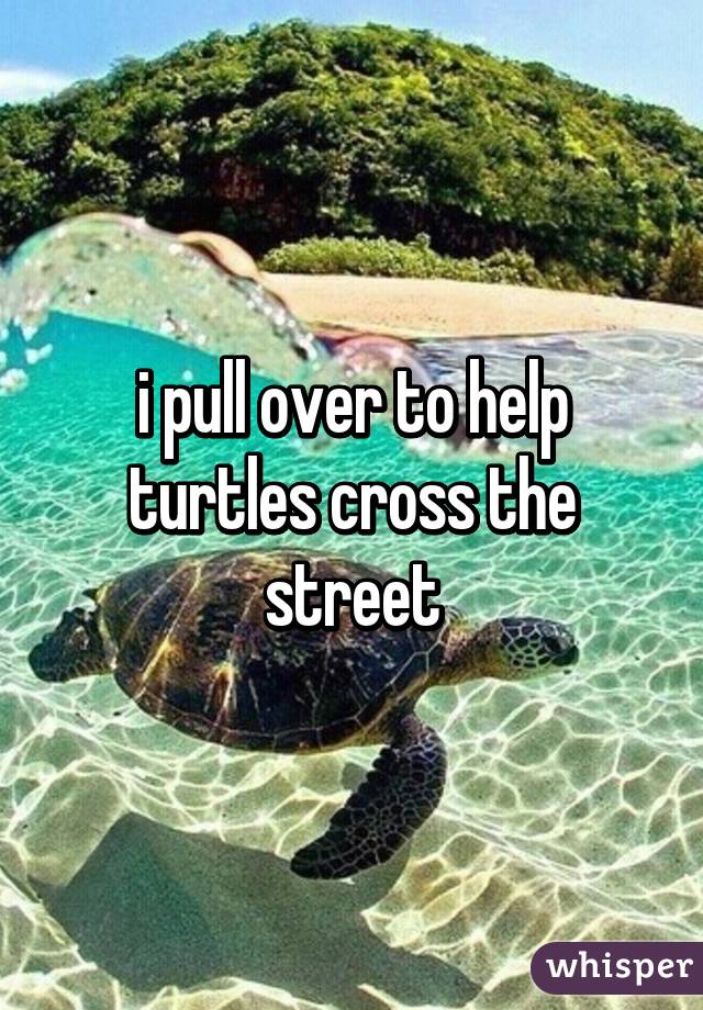 i pull over to help turtles cross the street