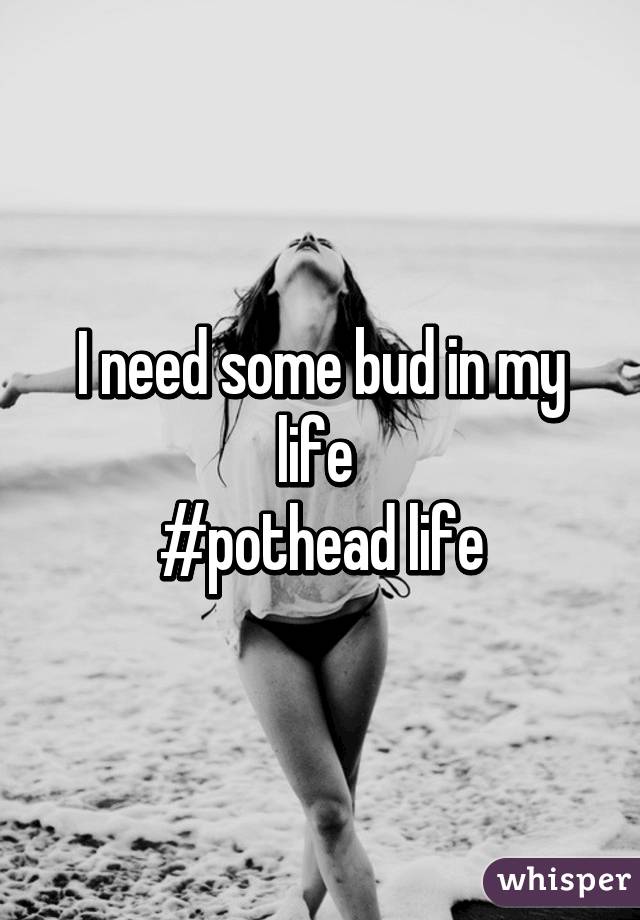 I need some bud in my life 
#pothead life