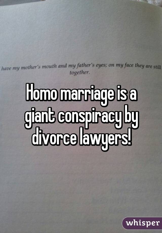 Homo marriage is a giant conspiracy by divorce lawyers!