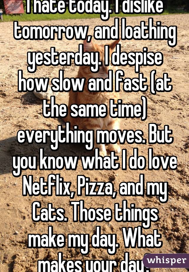 I hate today. I dislike tomorrow, and loathing yesterday. I despise how slow and fast (at the same time) everything moves. But you know what I do love Netflix, Pizza, and my Cats. Those things make my day. What makes your day?