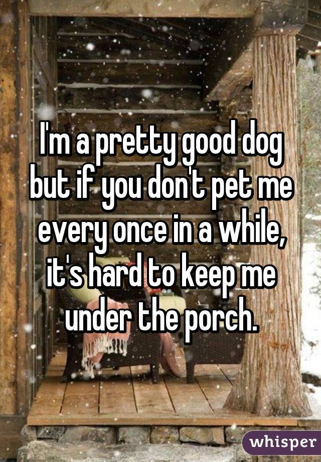 I'm a pretty good dog but if you don't pet me every once in a while, it's hard to keep me under the porch.