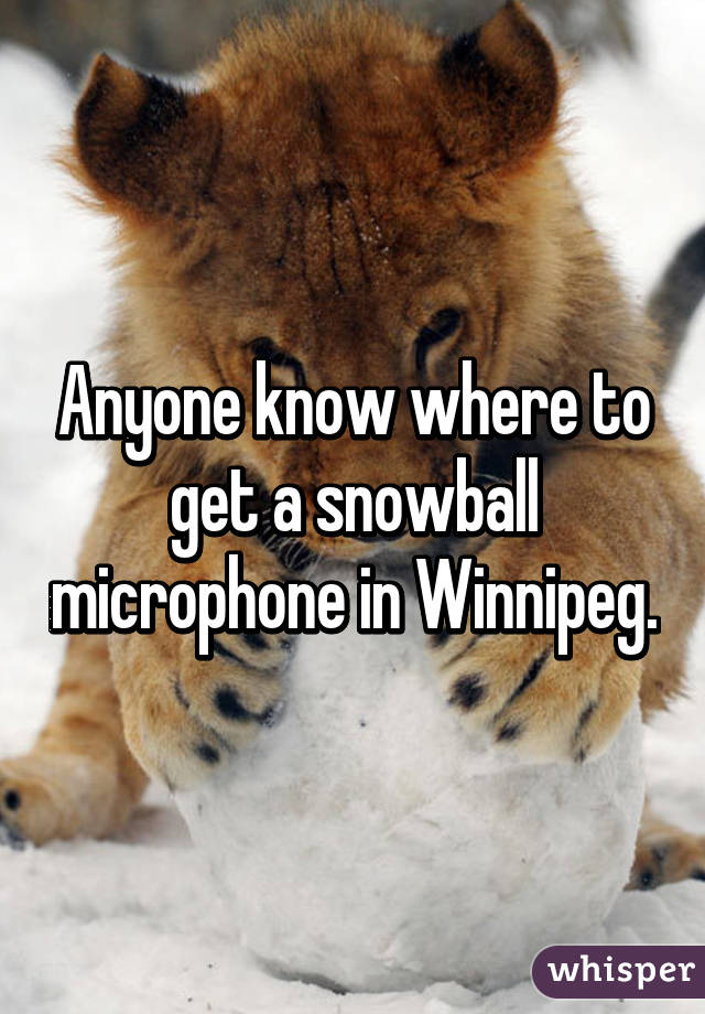 Anyone know where to get a snowball microphone in Winnipeg.