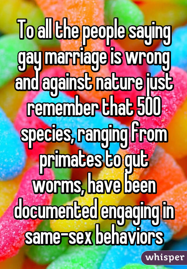 To all the people saying gay marriage is wrong and against nature just remember that 500 species, ranging from primates to gut worms, have been documented engaging in same-sex behaviors