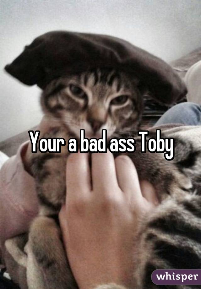 Your a bad ass Toby